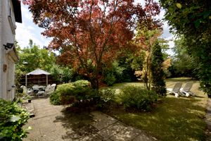 Patio / garden- click for photo gallery